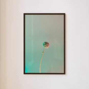 Studio Ra Photography Prints by Kara Taffs