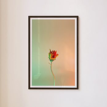 Studio Ra Photography Prints by Kara Taffs