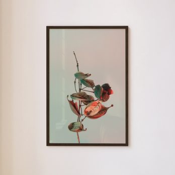 Studio Ra Photography Prints by Kara Taffs