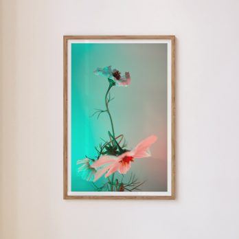 Studio Ra Photography Prints by Kara Taffs