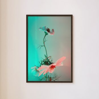 Studio Ra Photography Prints by Kara Taffs